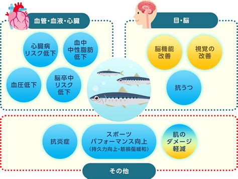 epa結構|(EPA)の 生理機能